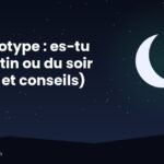 Illustration mi-matin mi-nuit avec une alouette au lever du soleil et un hibou sous les étoiles, symbolisant le chronotype
