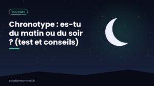 Illustration mi-matin mi-nuit avec une alouette au lever du soleil et un hibou sous les étoiles, symbolisant le chronotype