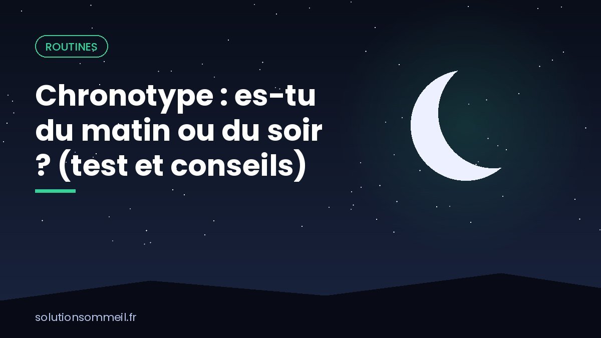 Illustration mi-matin mi-nuit avec une alouette au lever du soleil et un hibou sous les étoiles, symbolisant le chronotype